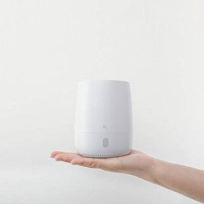 Aromatherapy Diffuser & Air Humidifier