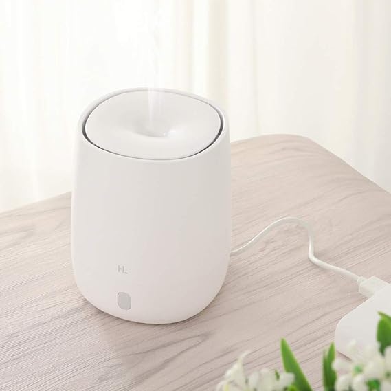 Aromatherapy Diffuser & Air Humidifier