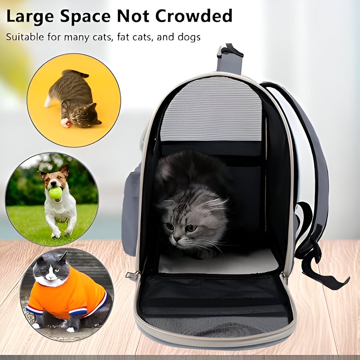 Cat Outdoor Carrier Bag - Breathable, Portable, 0-7.5kg